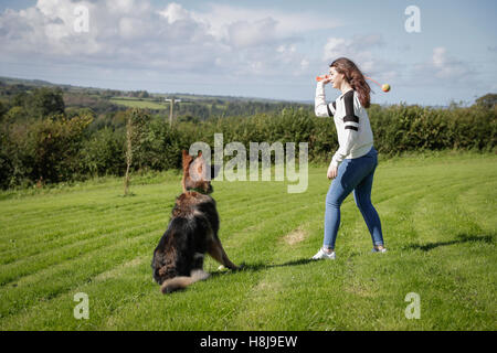 Gehorsamer Hund sitzt geduldig wartet auf seinen Besitzer durch seinen ball Stockfoto