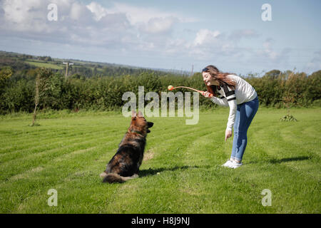 Gehorsamer Hund sitzt geduldig wartet auf seinen Besitzer durch seinen ball Stockfoto