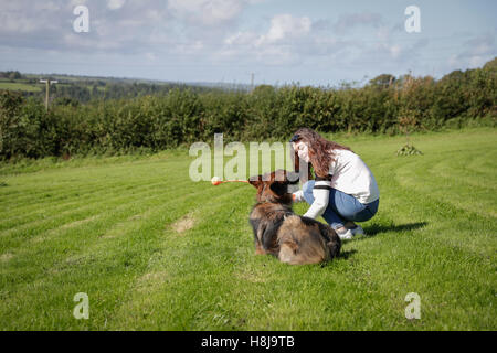 Hund führt eine Rolle über Trick zu seinem Besitzer, den Ball zu werfen Stockfoto