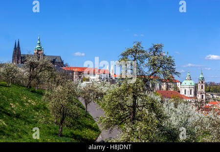 Frühling Panoramablick auf die Prager Burg und die Kirche St. Nikolaus in Malá Strana, Blick vom blühenden Petřín, Tschechische Republik Stockfoto