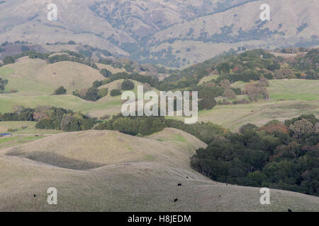 San Francisco East Bay Landschaft Stockfoto