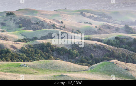 California, sanften Hügeln und Silicon Valley-Hintergrund Stockfoto