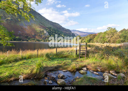 Llyn Gwynant See im Nantgwynant Tal, Snowdonia National Park, North Wales, UK Stockfoto