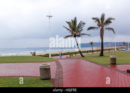 Leere nasse Backstein gepflasterte Wege zum Strand vorbei an Palmen an trüben regnerischen Tag am Strand in Durban, Südafrika Stockfoto