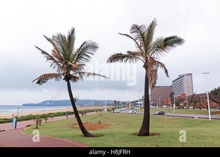 Nassen Backstein gepflasterte Wege zum Strand vorbei an Palmen an trüben regnerischen Tag am Strand in Durban, Südafrika Stockfoto