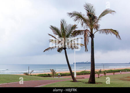 Nassen Backstein gepflasterte Wege zum Strand vorbei an Palmen an trüben regnerischen Tag am Strand in Durban, Südafrika Stockfoto