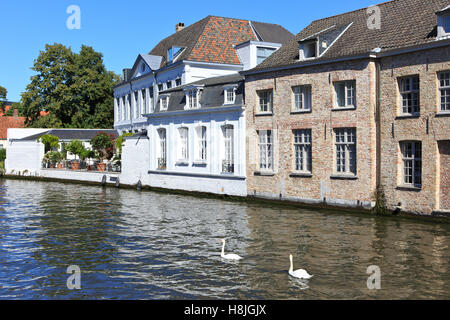 Die Sint Annarei Canal (1127) in Brügge, Belgien Stockfoto