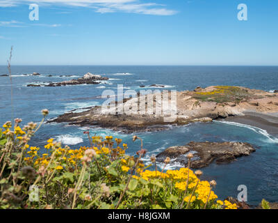 Point Lobos State Nature Reserve Stockfoto