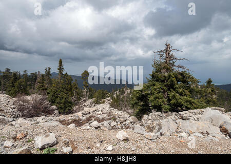 Schöne Aussicht vom Gipfel des Berges übergeben Stockfoto