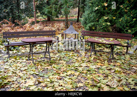 Leere Bänke unter den gefallenen Herbst Blätter Nostalgie Stockfoto