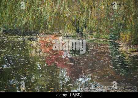 Herbstliche Stille leere Einsamkeit ruhigen Wasser Botanical Gardens Breslau Stockfoto