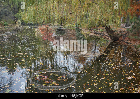 Herbstliche Stille leere Einsamkeit ruhigen Wasser Botanical Gardens Breslau Stockfoto
