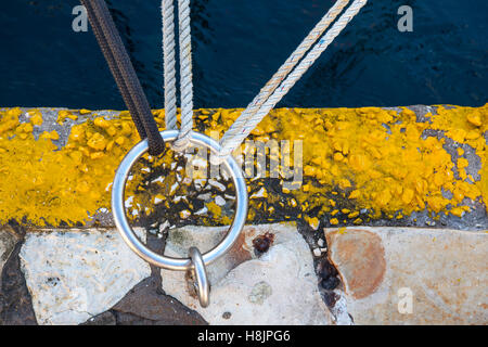 drei Knoten in einem Ring anbringen Stockfoto