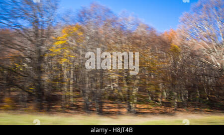 Herbst Farben in den Abruzzen (l ' Aquila, Italien) - Landschaft Stockfoto