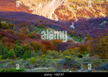 Herbst Farben in den Abruzzen (l ' Aquila, Italien) - Landschaft Stockfoto