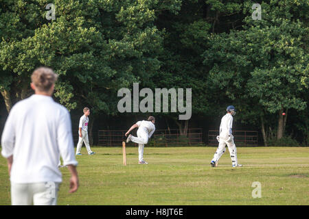 Cricket-Match am Landford. Stockfoto