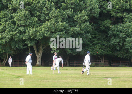 Cricket-Match am Landford. Stockfoto