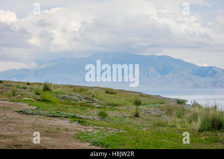 Landschaft am Sayram See, Xinjiang Uyghur autonome Region, China Stockfoto