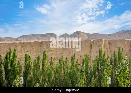 Bäume in der Schlucht bei Jiaohe antiken Ruinen, Turpan, Uigurischen Autonomen Gebiet Xinjiang, China Stockfoto