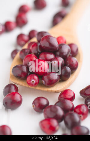 Die leckeren amerikanischen Cranberies auf Holzlöffel. Stockfoto