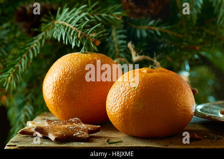 Mandarinen und Ingwer Cookies auf Fichte Zweige Hintergrund Stockfoto