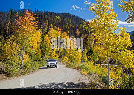 Tabernash, Colorado - Farben des Herbstes entlang einer unbefestigten Straße in den Rocky Mountains. Stockfoto