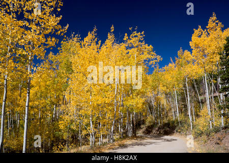 Tabernash, Colorado - Farben des Herbstes entlang einer unbefestigten Straße in den Rocky Mountains. Stockfoto