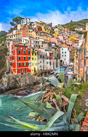 Riomaggiore Dorf, Nationalpark Cinque Terre, Ligurien, Italien. Stockfoto