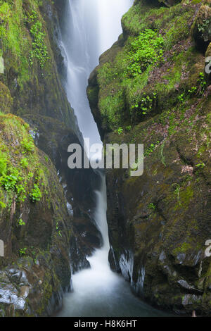 Detail der Aira Force Wasserfall in der Nähe von Ullswater im englischen Lake District. England. VEREINIGTES KÖNIGREICH. Stockfoto