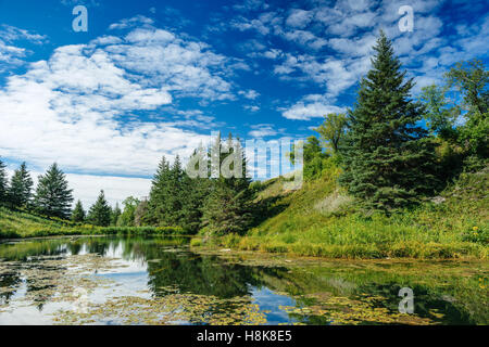 Des Teufels Bowle, einen Teich in Fichte Woods Provincial Park, Manitoba, Kanada Stockfoto