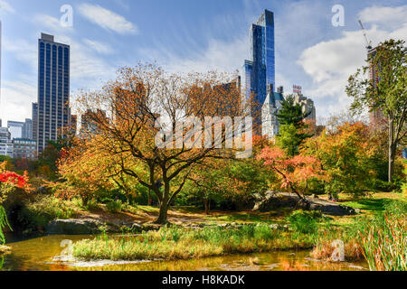 Blick auf Central Park South in New York City im Herbst. Stockfoto