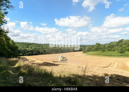 Ein Claas 750 Lexion kombinieren Harvester arbeiten die Felder in Kent Stockfoto