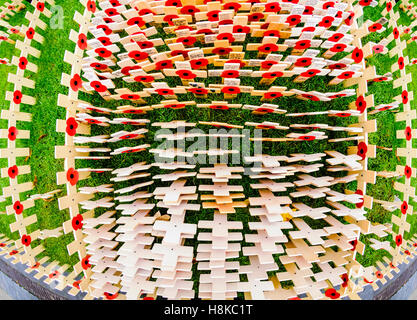 Belfast, Northern Ireland. 13. November 2016. Gedenkgottesdienst am Ehrenmal der Belfast City Hall. Bildnachweis: Stephen Barnes/Alamy Live-Nachrichten Stockfoto