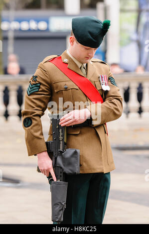 Belfast, Northern Ireland. 13. November 2016. Gedenkgottesdienst am Ehrenmal der Belfast City Hall. Bildnachweis: Stephen Barnes/Alamy Live-Nachrichten Stockfoto