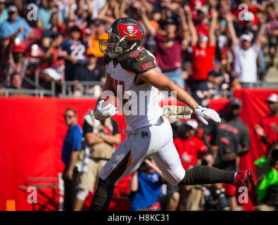 Florida, USA. 13. November 2016. LOREN ELLIOTT | ...Bei der Zeiten der ersten Hälfte des Spiels zwischen den Chicago Bears und den Tampa Bay Buccaneers im Raymond James Stadium in Tampa, Florida, auf Sonntag, 13. November 2016. © Loren Elliott/Tampa Bay Times / ZUMA Draht/Alamy Live News Stockfoto