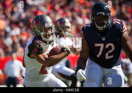 Florida, USA. 13. November 2016. LOREN ELLIOTT | Zeiten. Tampa Bay Buccaneers Cornerback Brent Grimes (24) macht eine Interception und nimmt dann Werften in der ersten Hälfte des Spiels zwischen den Chicago Bears und den Tampa Bay Buccaneers im Raymond James Stadium in Tampa, Florida, auf Sonntag, 13. November 2016. Bildnachweis: Loren Elliott/Tampa Bay Times / ZUMA Draht/Alamy Live News Stockfoto