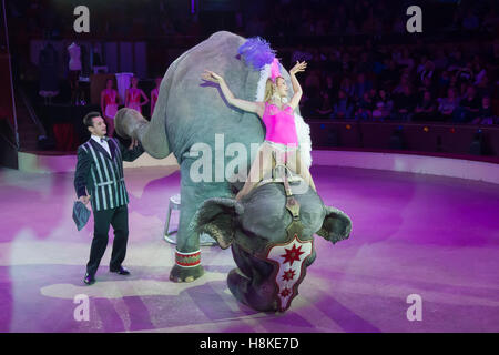 Budapest, Ungarn. 13. November 2016. Ungarische Elefanten tamer Krisztian Zodieru (L) und sein Assistent, führen Sie die Elefanten-show während einer Zirkus Show Premiere im Hauptstadt-Zirkus in Budapest, Ungarn, am 13. November 2016. Bildnachweis: Attila Volgyi/Xinhua/Alamy Live-Nachrichten Stockfoto