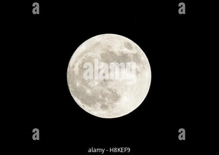 Modesto, Kalifornien, USA. 13. November 2016. 13. November 2016 Vorschau auf morgen Supermoon kommt morgen 14.. Von Modesto California USA Credit: John Crowe/Alamy Live-Nachrichten Stockfoto