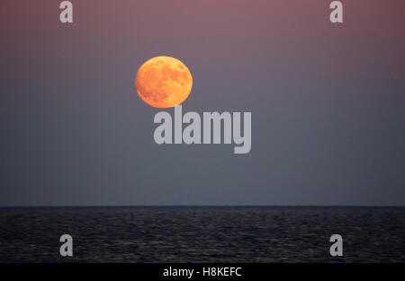 Lake Ontario, Toronto, Kanada. 13. November 2016. Menschen Sie beobachten Supermoon am Strand des Lake Ontario in Toronto, Kanada am 13. November 2016 steigen. Es wird gesagt, der größte Mond in 68 Jahren Credit werden: CharlineXia/Alamy Live News Stockfoto