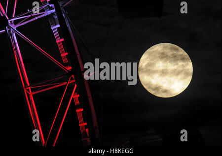 Orlando, Vereinigte Staaten von Amerika. 13. November 2016. 13. November 2016 - Orlando, Florida, Vereinigte Staaten von Amerika - A Supermoon erhebt sich in der Nähe von Orlando Eye-Riesenrad in Orlando, Florida am 13. November 2016. Der Mond hat nicht das nah an der Erde seit 1948. Infolgedessen scheint es bis zu 14 Prozent größer und heller als eine typische Vollmond 30 Prozent. Bildnachweis: Paul Hennessy/Alamy Live-Nachrichten Stockfoto