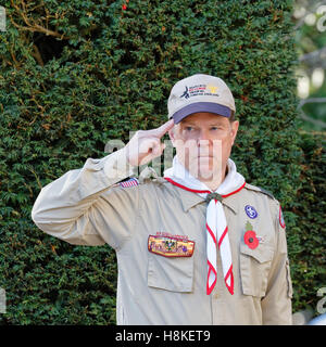 Veterans Day 2016 am Brookwood American Cemetery - grüßen die Farben - Scoutführer der Truppe 184 Cobham England Stockfoto