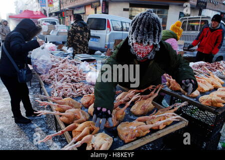 Heihe Heihe, China. 13. November 2016. Heihe, CHINA-13. November 2016: (nur zur redaktionellen Verwendung. CHINA HERAUS). Ein Hausierer am Morgenmarkt in Heihe, Nordost-China Provinz Heilongjiang, 13. November 2016. Eine blaue Warnung mit starkem Schneefall wurde herausgegeben, in der Provinz Heilongjiang, zeigen, dass die niedrigste Temperatur um 20 Grad unter Null fallen würde. Einige Hausierer arbeitete am Morgenmarkt bei Frostwetter von 05:00 09:30 vorgenommen, die ihre Gesichter mit Eis bereift. © SIPA Asien/ZUMA Draht/Alamy Live-Nachrichten Stockfoto