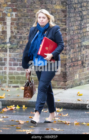 London, UK. 15. November 2016. Downing Street, London, 15. November 2016. Secretary Of State for Culture, Media and Sport Karen Bradley kommt in der Downing Street für die wöchentlichen Kabinettssitzung. © Paul Davey/Alamy Live News Bildnachweis: Paul Davey/Alamy Live-Nachrichten Stockfoto