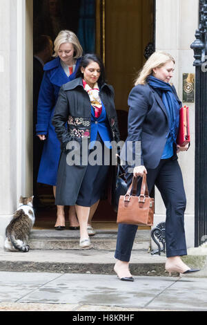 Downing Street, London, 15. November 2016.  Justiz-Staatssekretär und Herrn Bundeskanzler Liz Truss (links), internationaler Entwicklung Sekretär Priti Patel und Secretary Of State for Culture, Media and Sport Karen Bradley verlassen Downing Street nach der wöchentlichen Kabinettssitzung. Bildnachweis: Paul Davey/Alamy Live-Nachrichten Stockfoto