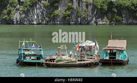 Angelboote/Fischerboote in Ha Long Bucht, Vietnam Stockfoto