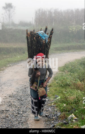 Frau mit schweren Last des Holzes in den Nebel, Sa Pa, Nord-Vietnam Stockfoto