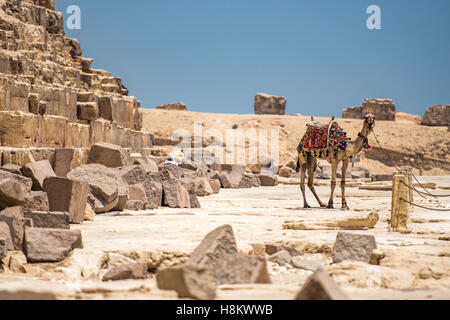 Kairo, Ägypten Kamel und seines Fahrers ruht in der Wüste neben Rubel am Fuße eines der großen Pyramiden von Giza. Stockfoto