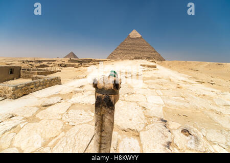 Kairo, Ägypten Tourist Reiten ein Kamel durch die Wüste mit den Pyramiden von Gizeh im Hintergrund. Diese besondere hier Stockfoto