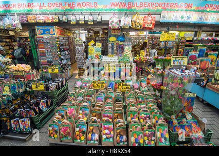 Amsterdam, Niederlande große Auswahl an verschiedenen farbigen Blumensamen und Blumenzwiebeln für den Verkauf in einem Outdoor-Markt. Stockfoto