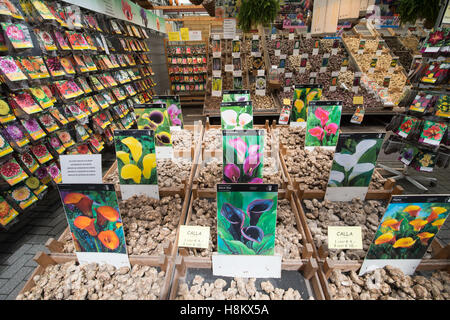 Amsterdam, Niederlande große Auswahl an verschiedenen farbigen Blumensamen und Blumenzwiebeln für den Verkauf in einem Outdoor-Markt. Stockfoto